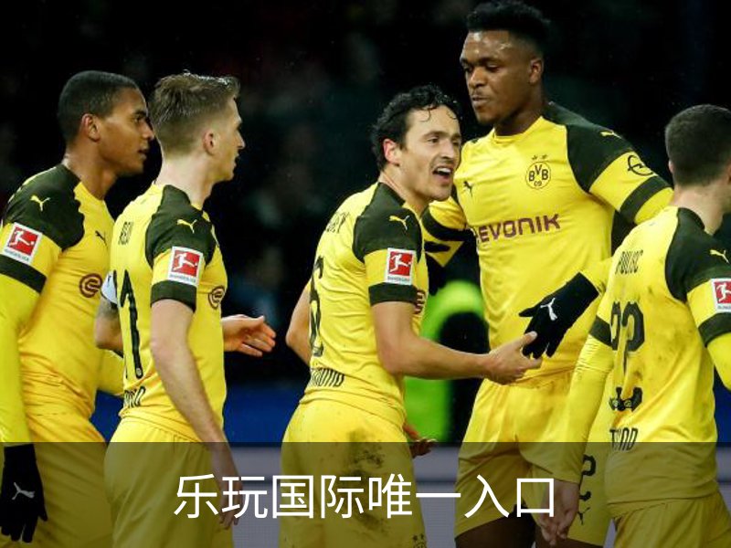 乐玩国际唯一入口概况